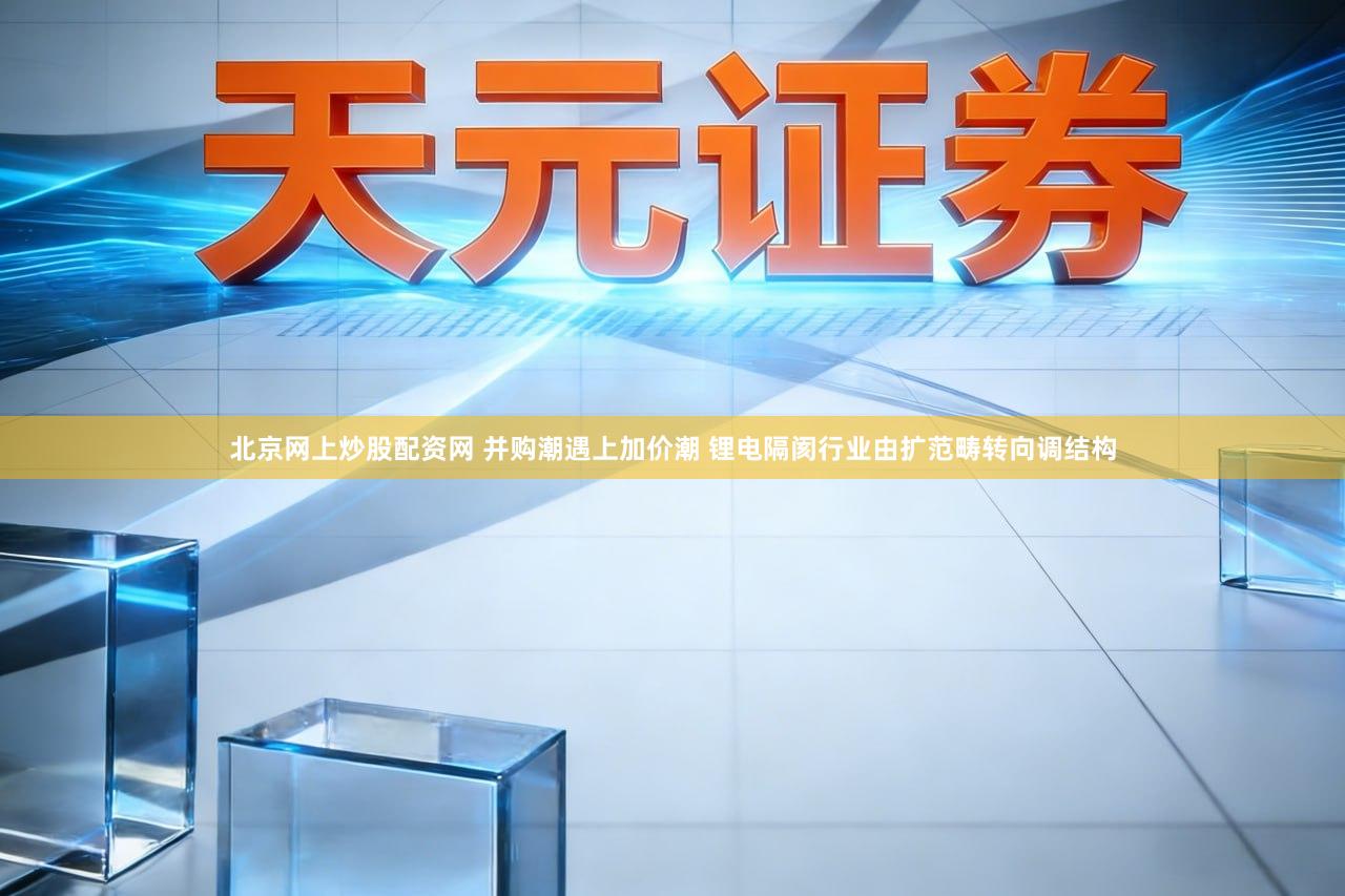 北京网上炒股配资网 并购潮遇上加价潮 锂电隔阂行业由扩范畴转向调结构