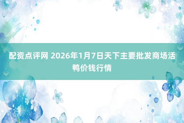 配资点评网 2026年1月7日天下主要批发商场活鸭价钱行情