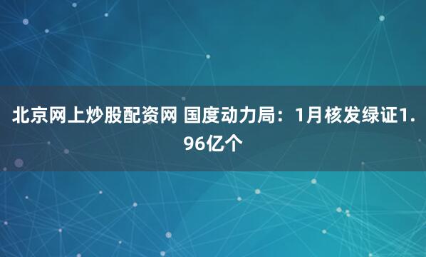 北京网上炒股配资网 国度动力局：1月核发绿证1.96亿个